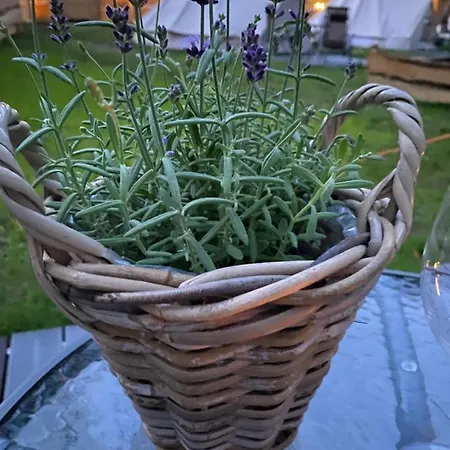 Sielski キャンプ場 ヘル