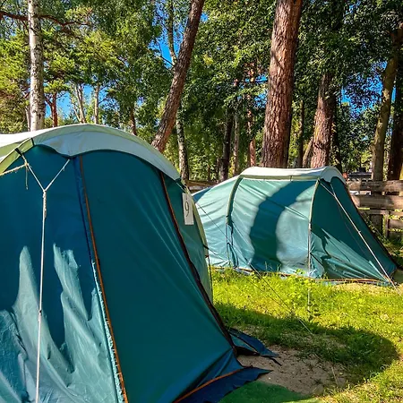 Sielski キャンプ場 *