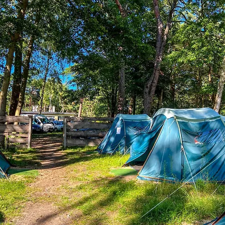 キャンプ場 Sielski *