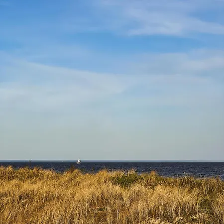 キャンプ場 Sielski