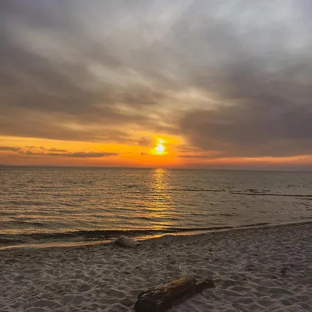 キャンプ場 Sielski *